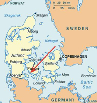 Denmark confirms H5N1 avian influenza on poultry farm