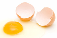 South Africa: eggs suspected in Durban's Salmonella outbreak