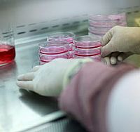 CDC Links Salmonella Outbreak to Lab Work