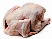 Campylobacter jejuni-associated perimyocarditis: two case reports