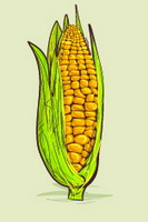 Plan to pay more for poultry