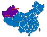 China plans to vaccinate all poultry for avian influenza