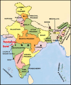 India Detects Avian influenza in Two Farms in Country's Gujarat State