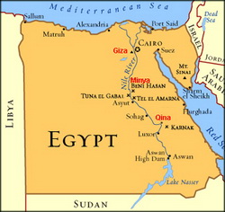 Avian influenza found in Egypt