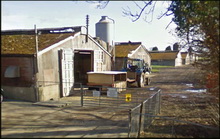 UK: Avian influenza in Yorkshire