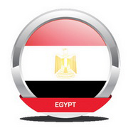 Egyptian boy contracts avian influenza