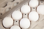 Australia: The Egg Basket eggs, recall – Salmonella