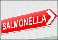 Salmonellosis associated with mass catering
