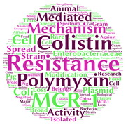 China: Emergence of plasmid-mediated colistin resistance