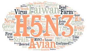 Avian influenza H5N3 strain confirmed in Taiwan