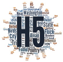 Avian influenza in poultry in Washington state