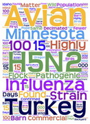 HPAI found in Minnesota turkey flock