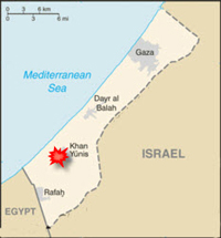 Avian influenza in Khan Yunis - Palestinian authorities