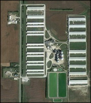 H5N2 avian influenza in Osceola count, Iowa