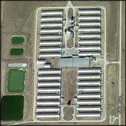 Nebraska confirms 4th case of avian influenza in state