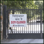 India: New Delhi Zoo closed temporarily due to avian influenza