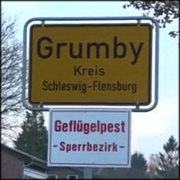 Germany: a new H5N8 case