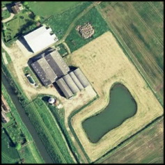 Britain: H5N8 case in Lincolnshire