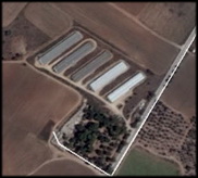 Israel: another outbreak of H5N8 in a turkey farm