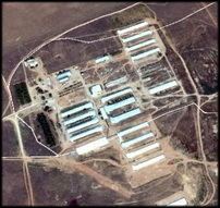 Russia: H5N8 in a commercial layer flock