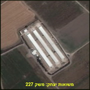 Israel: a new case of avian influenza in a breeder farm
