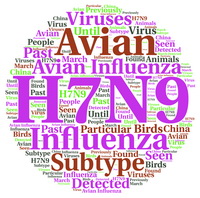 H7N9 in The Netherlands