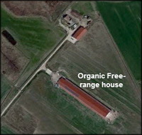 Highly pathogenic avian influenza in Italy