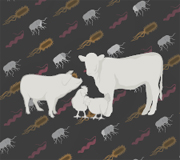 Emerging pathogens in meat and poultry