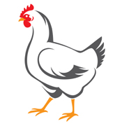 On‐farm antimicrobial usage in broiler chicken production in the USA, 2013–2017
