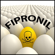 The Netherlands: Eggs contaminated with fipronil