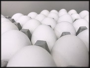 Sweden: Salmonella outbreak from Polish eggs