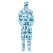 Report: the sources of foodborne illnesses for 2016