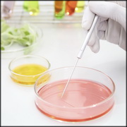 EURL-Salmonella interlaboratory comparison study (2017)