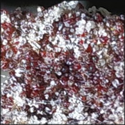 Heat treatment to combat the Poultry Red Mite