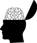 Campylobacter and consumer knowledge in Germany