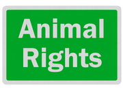 Defra: Action plan for animal welfare