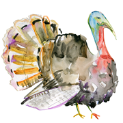 Why turkeys are highly susceptible to HPAI?