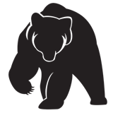 H5N1 infection in a black bear