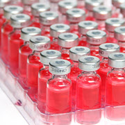 France to order avian influenza vaccines