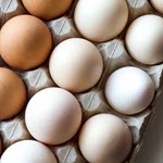 Significance of eggs in eco-friendly diets