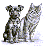 Asymptomatic infection with HPAI A(H5N1) in carnivore pets, Italy