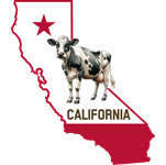 California confirms two human cases of bird flu in California