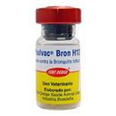 Infectious Bronchitis