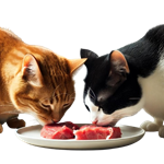 Two cats euthanized after testing positive for bird flu