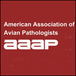 AAAP Key position statements on H5 HPAI