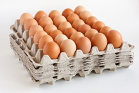 Rose Acre Farms recalls shell eggs due to Salmonella