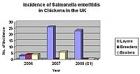 UK: High incidence of S. enteritidis in Layers flocks