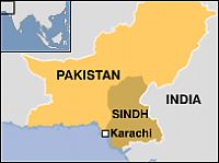 Pakistan finds H5N1 avian influenza on Karachi farm