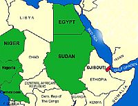 Baby in Djibouti diagnosed with avian influenza