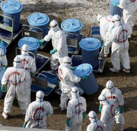 Avian Influenza detected in Miyazaki, Japan